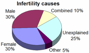 Infertility: Chinese & Western Medicine Basics