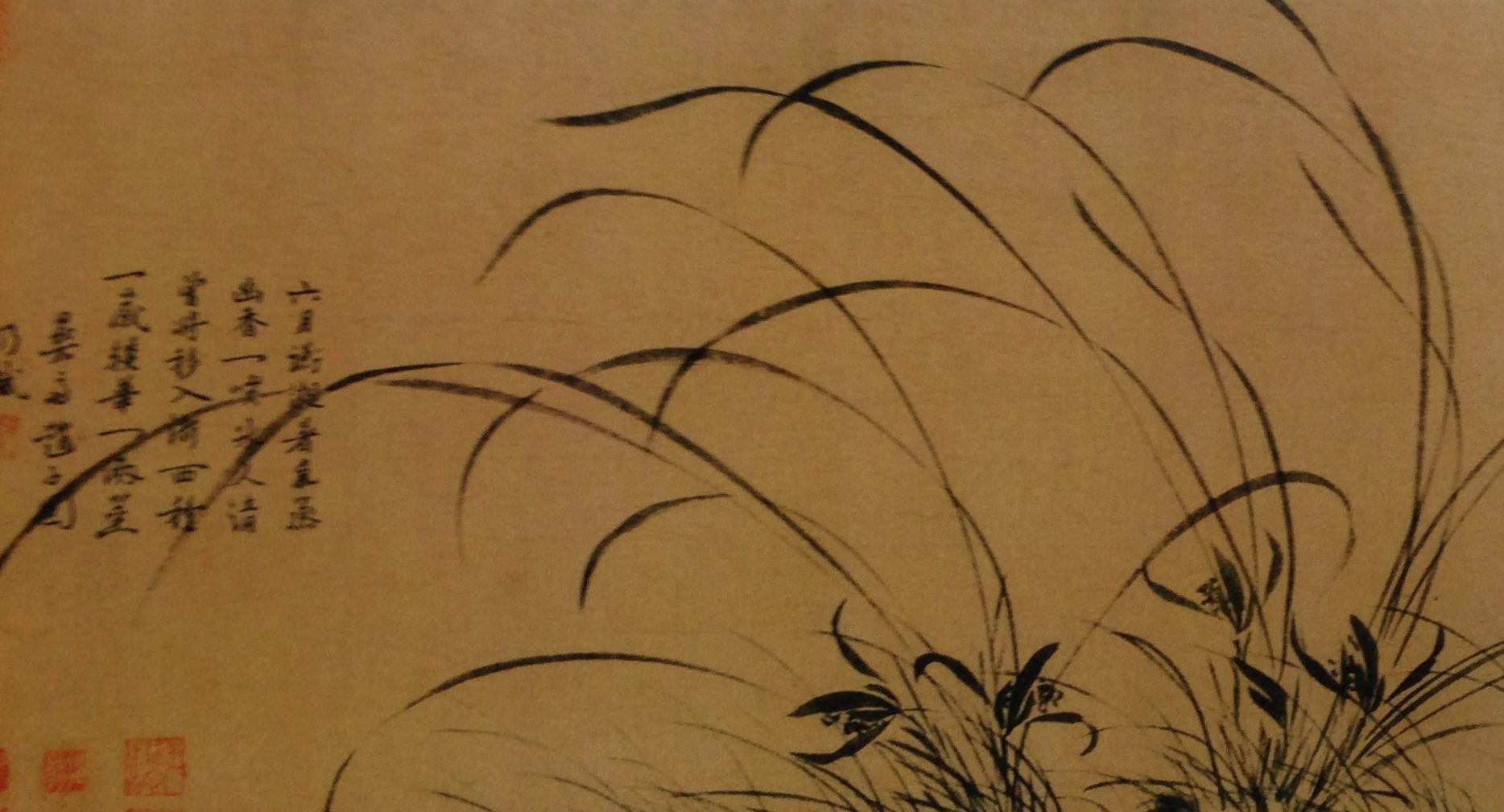 TCM Woman Clinic Toronto